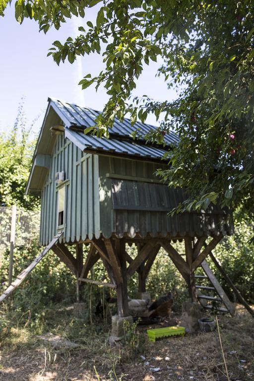 Le Clos Des Abeilles Ruch Bagian luar foto